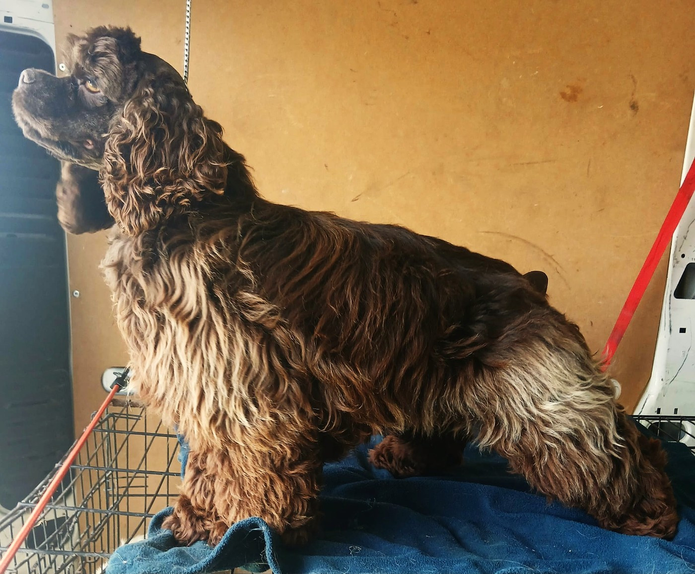 Asais-cocktail Du Trio Des Malous