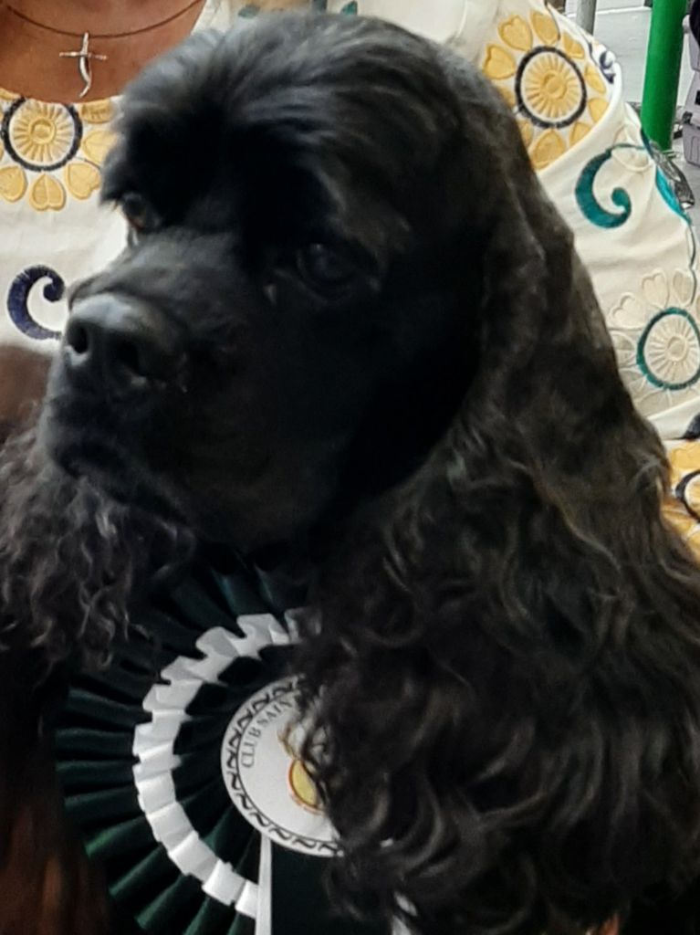 Malibu de l ecrin des précieuses