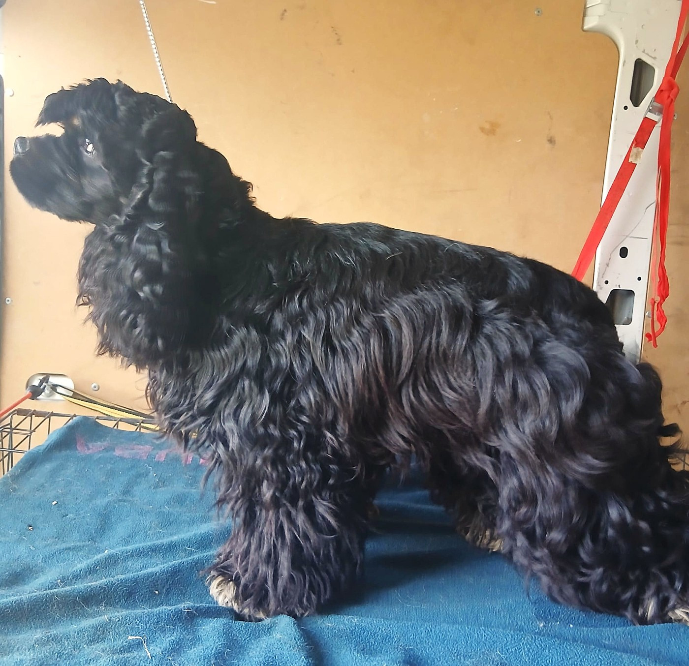 Du Trio Des Malous - ARRIVEE A L ELEVAGE