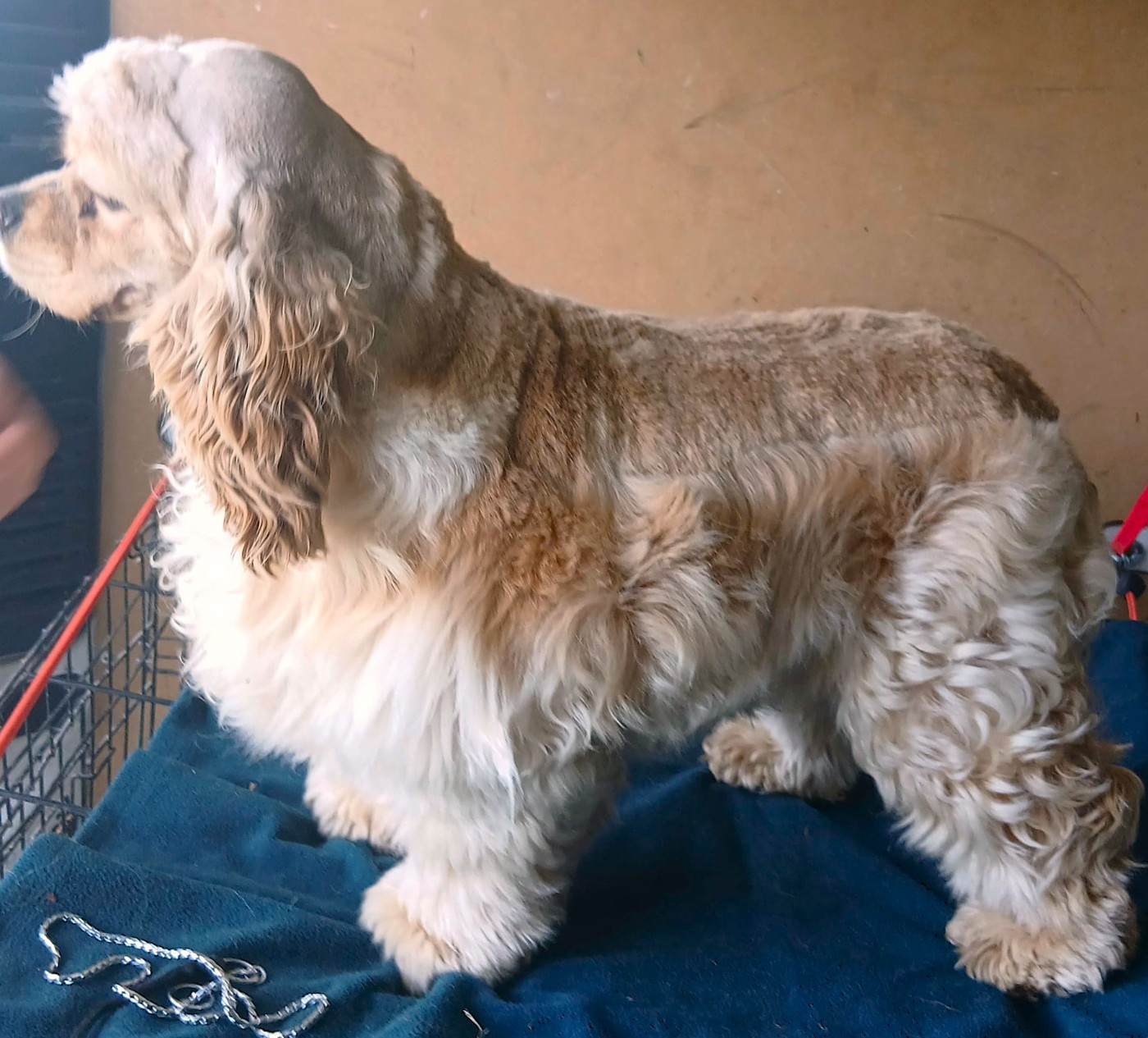 Du Trio Des Malous - CONFIRMATION