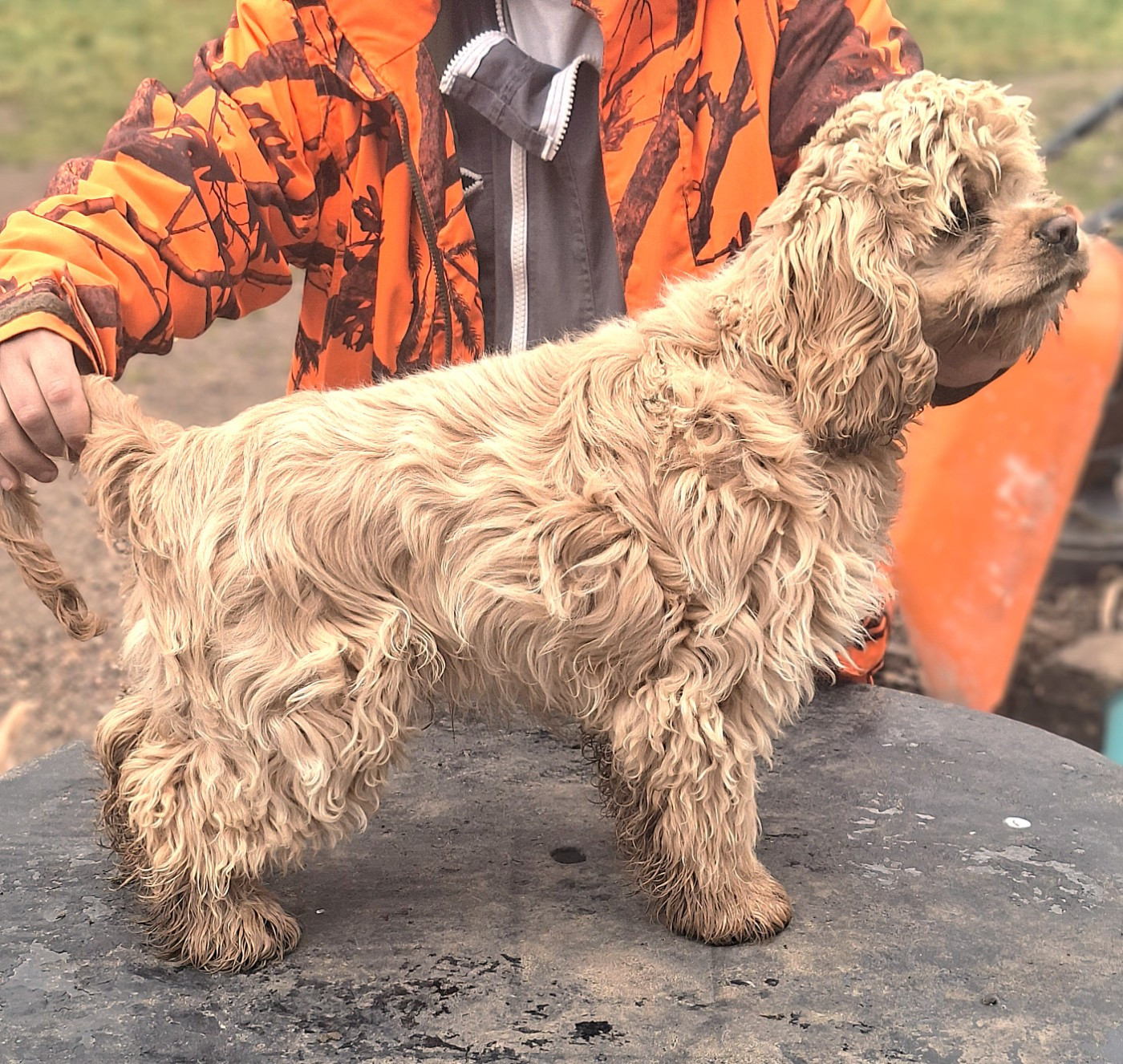 Du Trio Des Malous - Préparation au départ